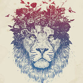 Drawings