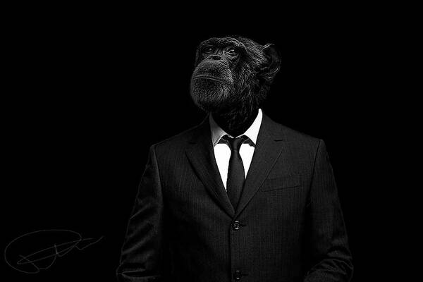 Ape in a Suit Poster