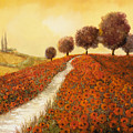 la collina dei papaveri