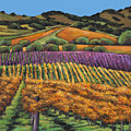 Napa